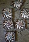 Af120 Co-9050015-pled Corsair 6 Led