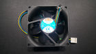 Df128025bh-pwmg Top Motor 80mm X