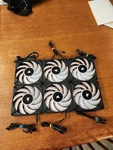 6 X Corsair AF120 Rgb Elite Black 120MM Pwm Premium Case Fan - Never Used. Fixed Price $80.00.