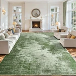5X7 Area Rugs For Living Room, Washable Abstract Soft Bedroom Non-slip Lo.... Fixed Price $75.69.