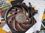 Custom Painted Noctua NF-A12X25 Fans. Fixed Price $75.00.