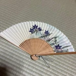 Floral Fan Nippon Life Novelty 8.7IN Japanese Pattern Purple. Fixed Price $36.89.