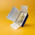 Leviton RTD01-EI / RTD01-10I Dual Rotary Fan Speed Control & Light 6 Units. Fixed Price $84.95.