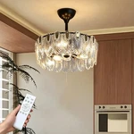 Elegant Crystal Ceiling Fan With Led Light Reversible 6 Speed Adjustable Timer. Fixed Price $99.29.