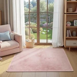 Jinchan Solid Plush Area Rug 3X5 Performance Shaggy Washable Indoor Soft Mod. Fixed Price $72.35.