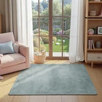 Jinchan Solid Plush Area Rug 3X5 Performance Shaggy Washable Indoor Soft Mod. Fixed Price $73.94.